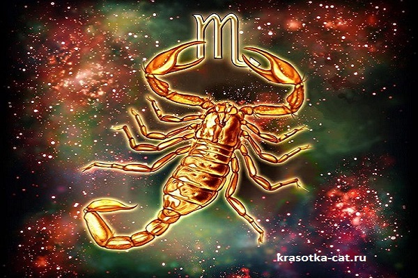 Гороскоп 2020 - Скорпион